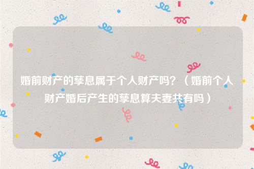 婚前财产的孳息属于个人财产吗？（婚前个人财产婚后产生的孳息算夫妻共有吗）