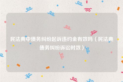 民法典中债务纠纷起诉违约金有效吗（民法典债务纠纷诉讼时效）