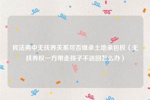 民法典中无抚养关系可否继承土地承包权（无扶养权一方带走孩子不送回怎么办）