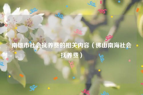 南雄市社会抚养费的相关内容（佛山南海社会抚养费）
