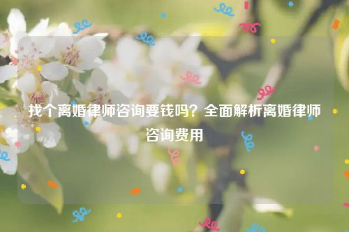 找个离婚律师咨询要钱吗？全面解析离婚律师咨询费用