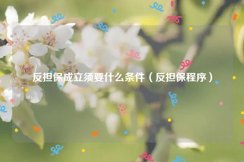 反担保成立须要什么条件（反担保程序）