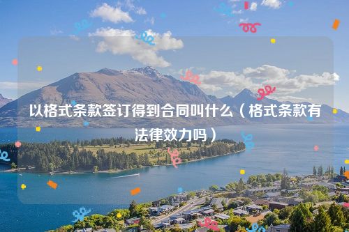 以格式条款签订得到合同叫什么（格式条款有法律效力吗）