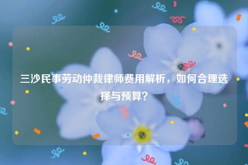 三沙民事劳动仲裁律师费用解析，如何合理选择与预算？
