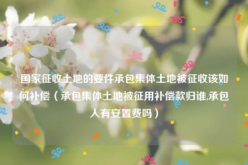 国家征收土地的要件承包集体土地被征收该如何补偿（承包集体土地被征用补偿款归谁,承包人有安置费吗）