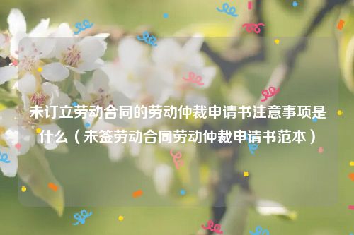 未订立劳动合同的劳动仲裁申请书注意事项是什么（未签劳动合同劳动仲裁申请书范本）