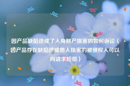 因产品缺陷造成了人身财产损害的如何诉讼（因产品存在缺陷造成他人损害的被侵权人可以向请求赔偿）