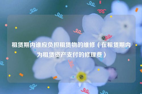 租赁期内谁应负担租赁物的维修（在租赁期内为租赁资产支付的修理费）