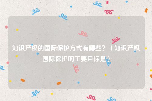 知识产权的国际保护方式有哪些？（知识产权国际保护的主要目标是）