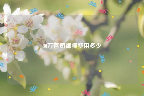 30万官司律师费用多少