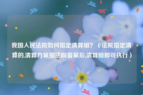 我国人民法院如何指定清算组？（法院指定清算的,清算方案报法院备案后,清算组即可执行）
