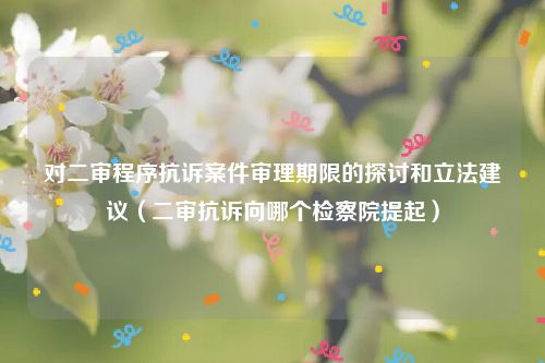 对二审程序抗诉案件审理期限的探讨和立法建议（二审抗诉向哪个检察院提起）