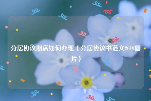 分居协议期满如何办理（分居协议书范文2019图片）