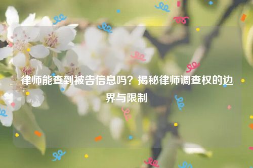 律师能查到被告信息吗？揭秘律师调查权的边界与限制