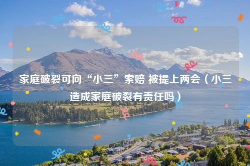 家庭破裂可向“小三”索赔 被提上两会（小三造成家庭破裂有责任吗）