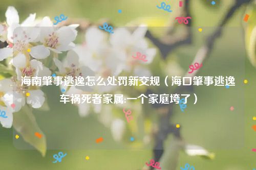 海南肇事逃逸怎么处罚新交规（海口肇事逃逸车祸死者家属:一个家庭垮了）