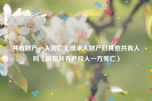 共有财产一人死亡无继承人财产归其他共有人吗（房屋共有产权人一方死亡）