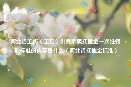 河北省工伤（工亡）供养亲属抚恤金一次性领取标准的内容是什么（河北省抚恤金标准）