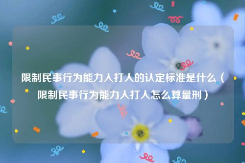 限制民事行为能力人打人的认定标准是什么（限制民事行为能力人打人怎么算量刑）