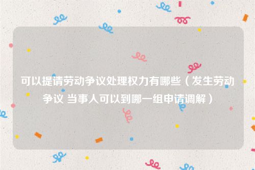 可以提请劳动争议处理权力有哪些（发生劳动争议 当事人可以到哪一组申请调解）