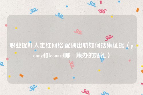 职业捉奸人走红网络,配偶出轨如何搜集证据（penny和leonard哪一集办的婚礼）