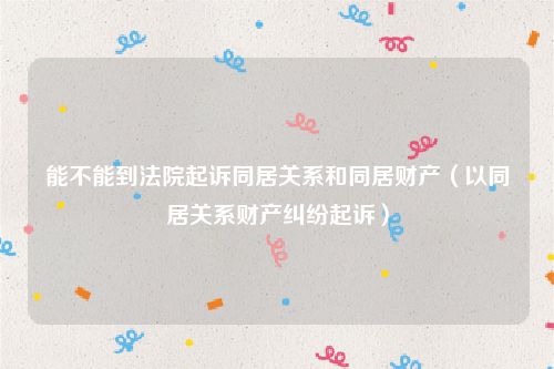 能不能到法院起诉同居关系和同居财产（以同居关系财产纠纷起诉）