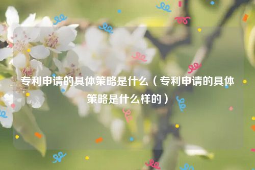 专利申请的具体策略是什么（专利申请的具体策略是什么样的）