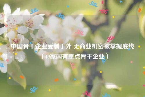 中国骨干企业受制于外 无商业机密被掌握底线（49家国有重点骨干企业）