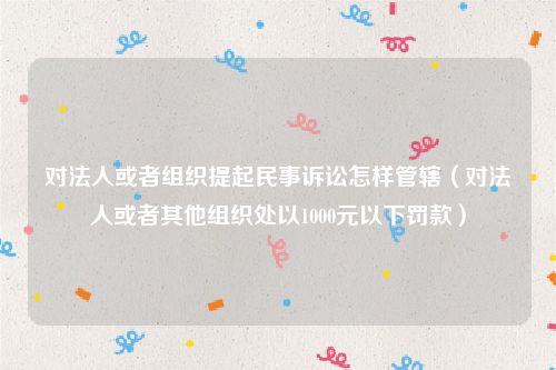 对法人或者组织提起民事诉讼怎样管辖（对法人或者其他组织处以1000元以下罚款）