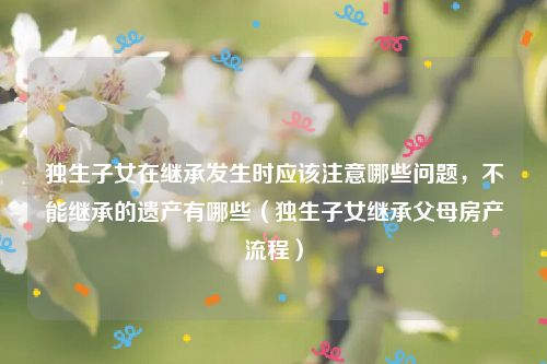 独生子女在继承发生时应该注意哪些问题，不能继承的遗产有哪些（独生子女继承父母房产流程）