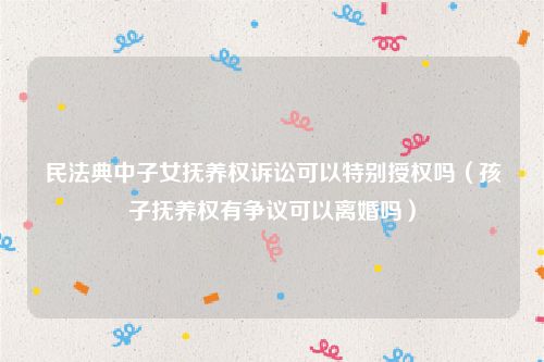 民法典中子女抚养权诉讼可以特别授权吗（孩子抚养权有争议可以离婚吗）