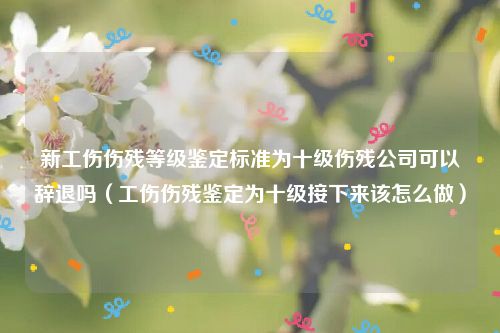 新工伤伤残等级鉴定标准为十级伤残公司可以辞退吗（工伤伤残鉴定为十级接下来该怎么做）
