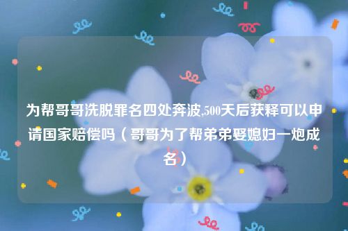 为帮哥哥洗脱罪名四处奔波,500天后获释可以申请国家赔偿吗（哥哥为了帮弟弟娶媳妇一炮成名）