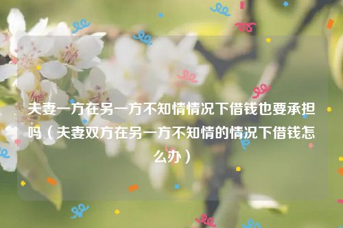 夫妻一方在另一方不知情情况下借钱也要承担吗（夫妻双方在另一方不知情的情况下借钱怎么办）