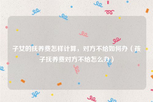 子女的抚养费怎样计算，对方不给如何办（孩子抚养费对方不给怎么办）