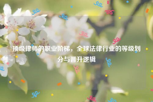 顶级律师的职业阶梯，全球法律行业的等级划分与晋升逻辑
