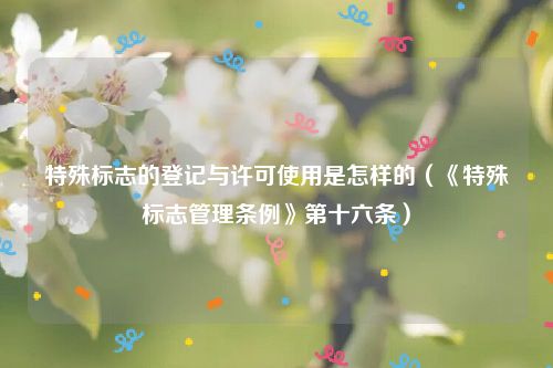 特殊标志的登记与许可使用是怎样的（《特殊标志管理条例》第十六条）