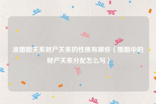 准婚姻关系财产关系的性质有哪些（婚姻中的财产关系分配怎么写）