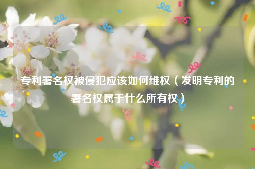 专利署名权被侵犯应该如何维权（发明专利的署名权属于什么所有权）