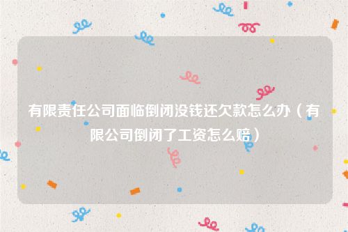 有限责任公司面临倒闭没钱还欠款怎么办（有限公司倒闭了工资怎么赔）