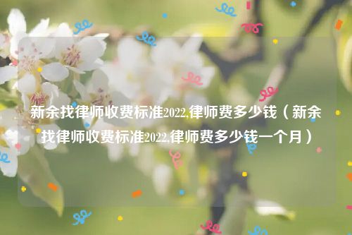 新余找律师收费标准2022,律师费多少钱（新余找律师收费标准2022,律师费多少钱一个月）