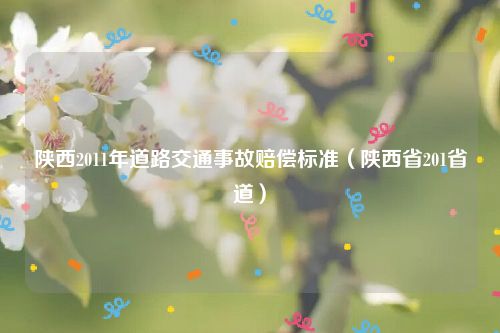 陕西2011年道路交通事故赔偿标准（陕西省201省道）