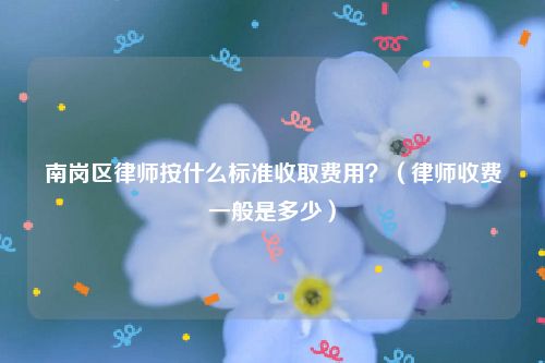 南岗区律师按什么标准收取费用？（律师收费一般是多少）