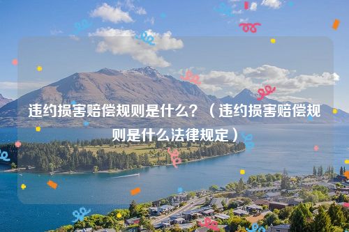 违约损害赔偿规则是什么？（违约损害赔偿规则是什么法律规定）