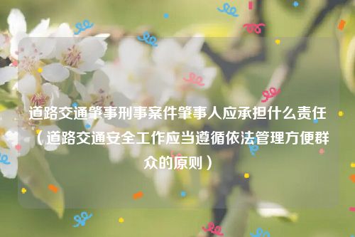 道路交通肇事刑事案件肇事人应承担什么责任（道路交通安全工作应当遵循依法管理方便群众的原则）