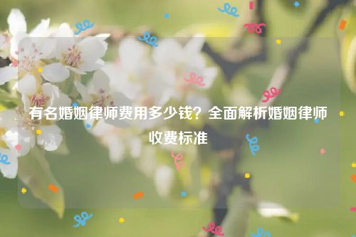有名婚姻律师费用多少钱？全面解析婚姻律师收费标准